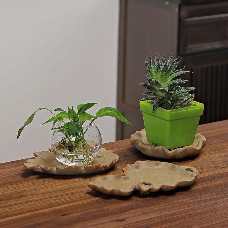 Brazilian Wood Hydroponic Plan - Drip Tray Saucer ulasan dan harga