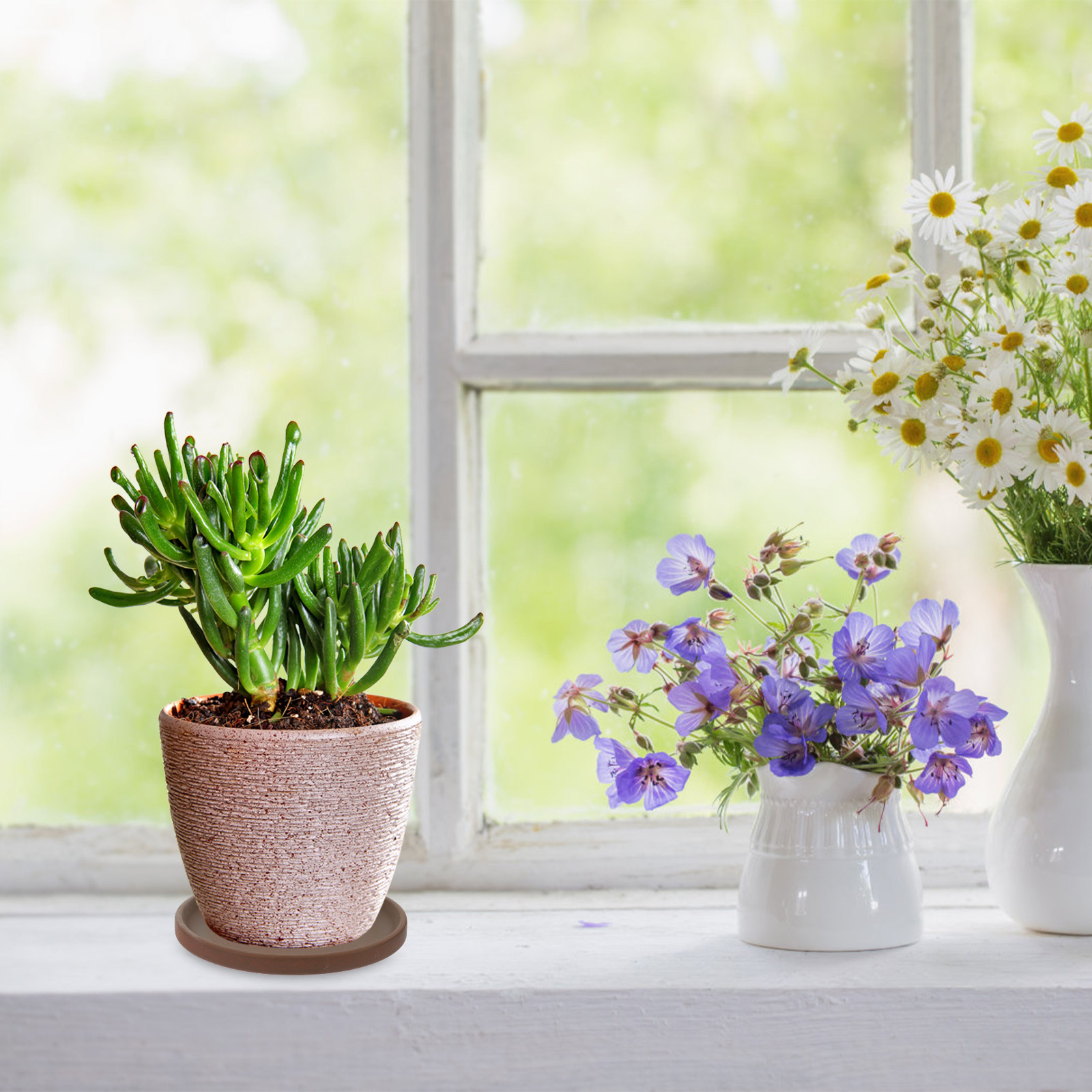 Ceramic Flower Pot Tray Round  - Drip Tray Saucer ulasan dan harga