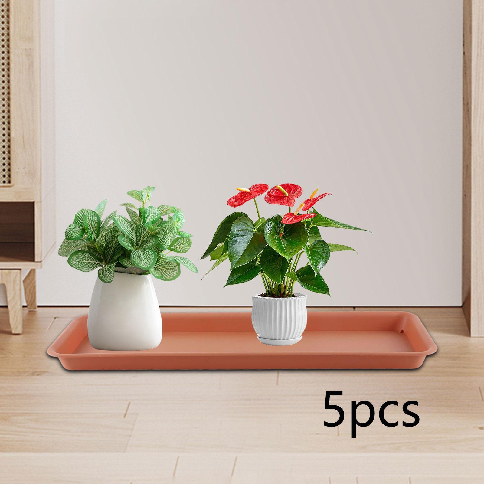 High Flower Pot for the Terrac - Drip Tray Saucer ulasan dan harga