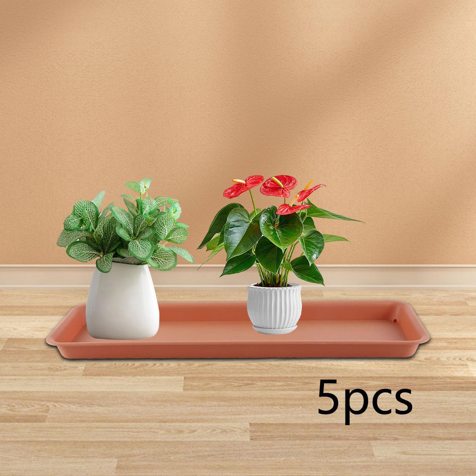 High Flower Pot for the Terrac - Drip Tray Saucer ulasan dan harga