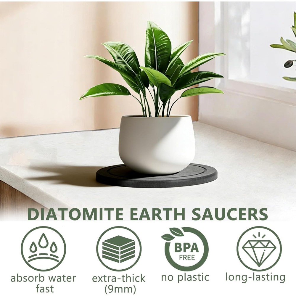 3Pcs/Set Diatomaceous Earth Pl - Drip Tray Saucer ulasan dan harga