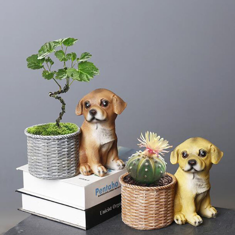 Household Living Room Office R - Bonsai Garden Art ulasan dan harga