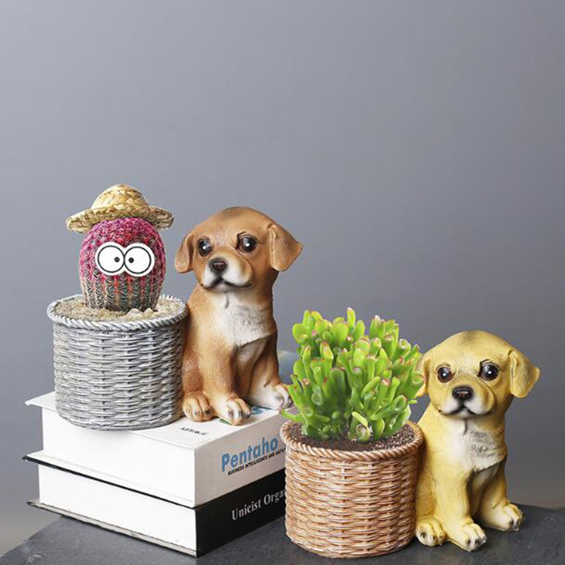 Household Living Room Office R - Bonsai Garden Art ulasan dan harga
