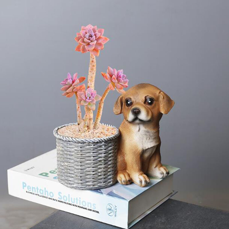 Household Living Room Office R - Bonsai Garden Art ulasan dan harga