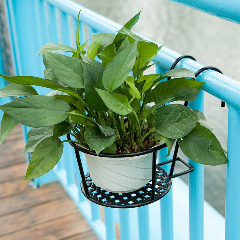 1PC Gardening Pots Outdoor Win - Bonsai Garden Art ulasan dan harga