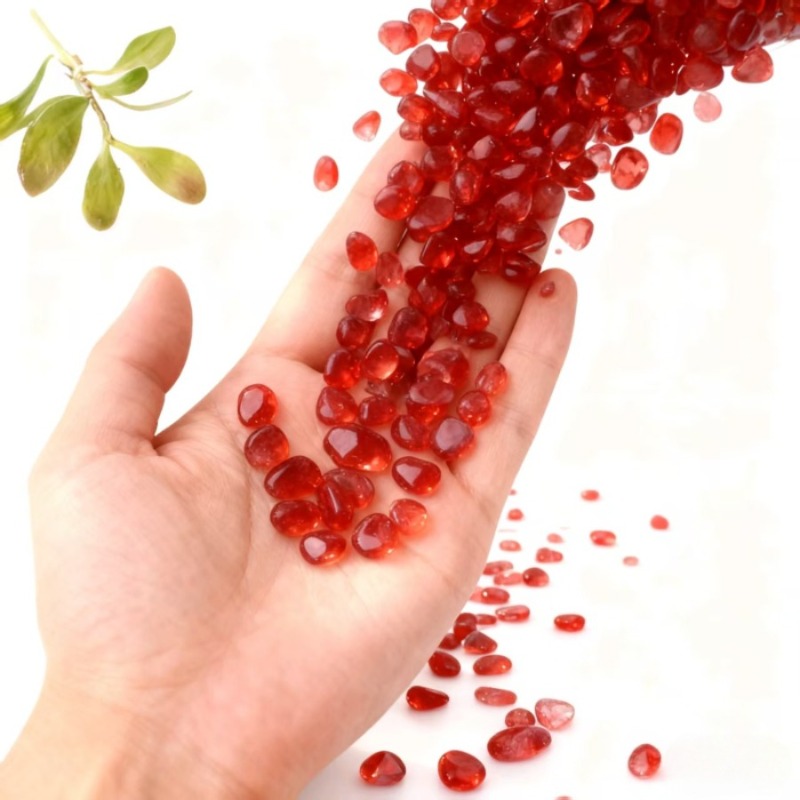 100g/200g high-quality red mos - Bonsai Garden Landscape Design ulasan dan harga