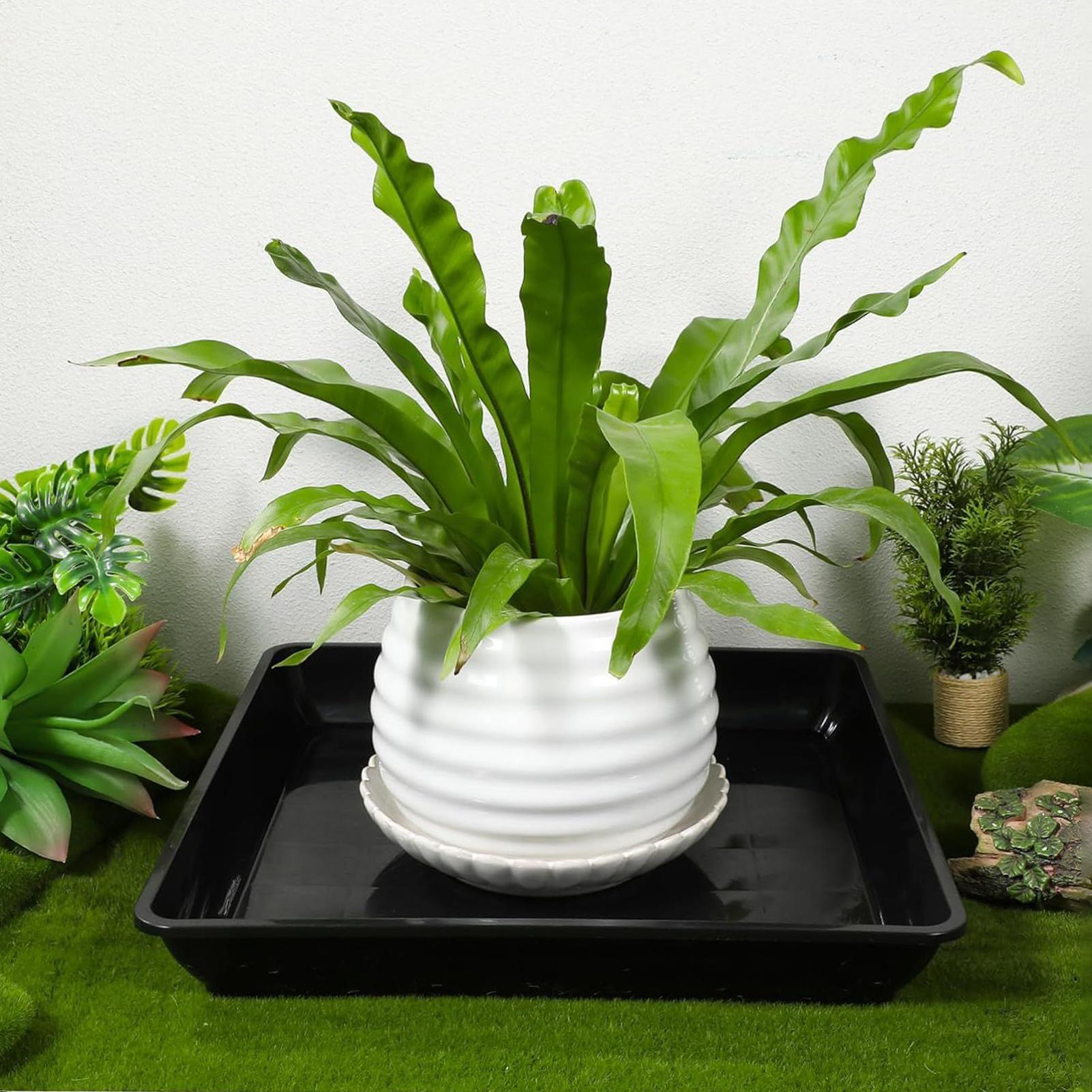 Flower Pot Trays 2Pcs/set Gard - Drip Tray Saucer ulasan dan harga