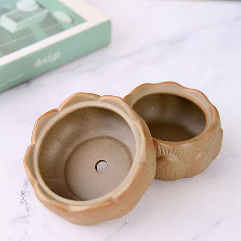 Coarse Pottery Lotus Green Pla - Bonsai Garden Art ulasan dan harga