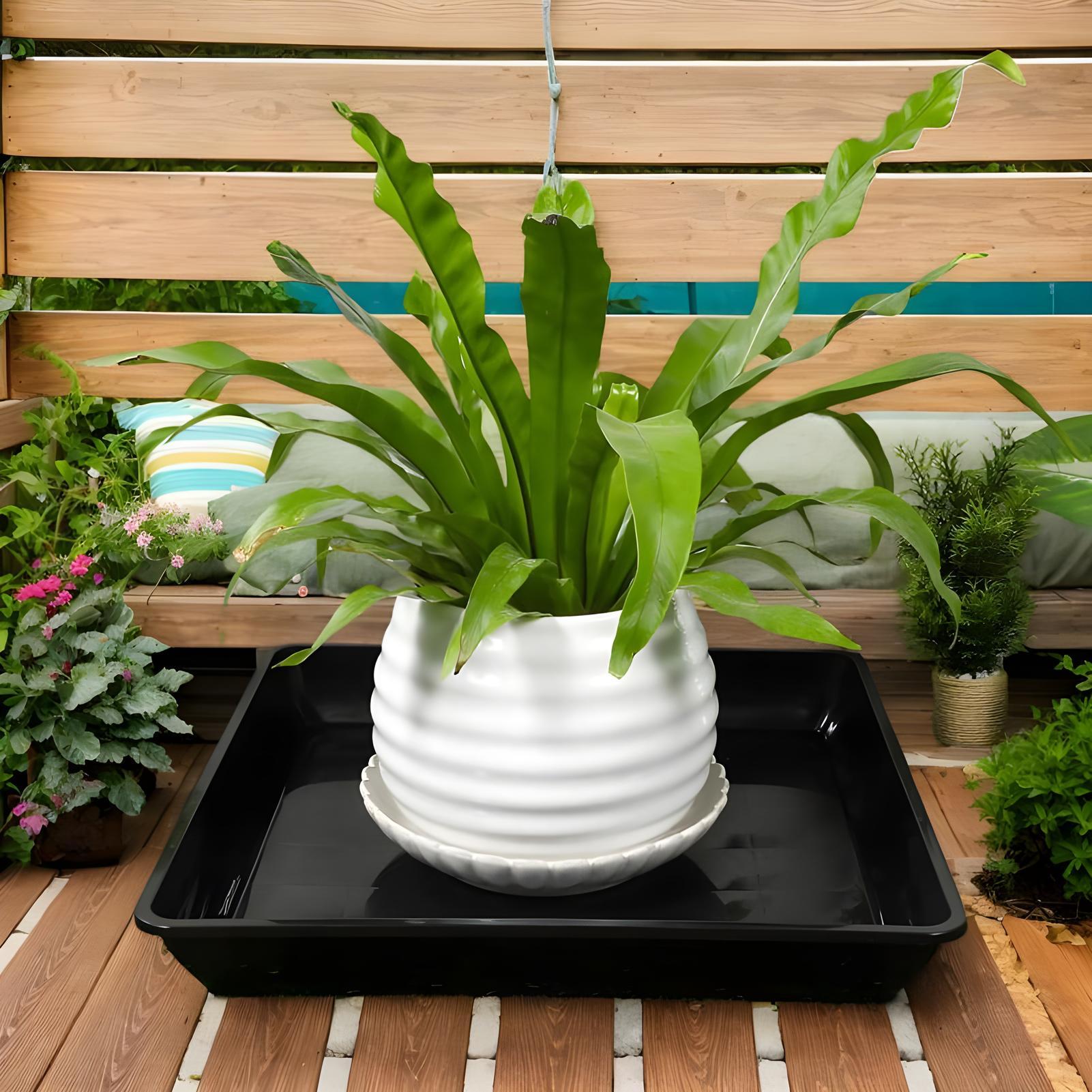Plant Trays for Pots 2 Pieces  - Drip Tray Saucer ulasan dan harga