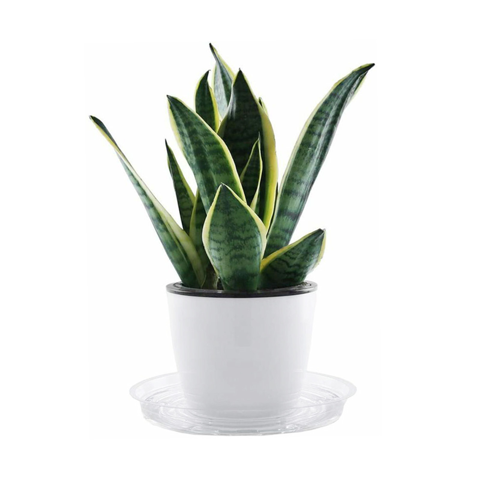 10pc Garden Plant Saucer Drip  - Drip Tray Saucer ulasan dan harga