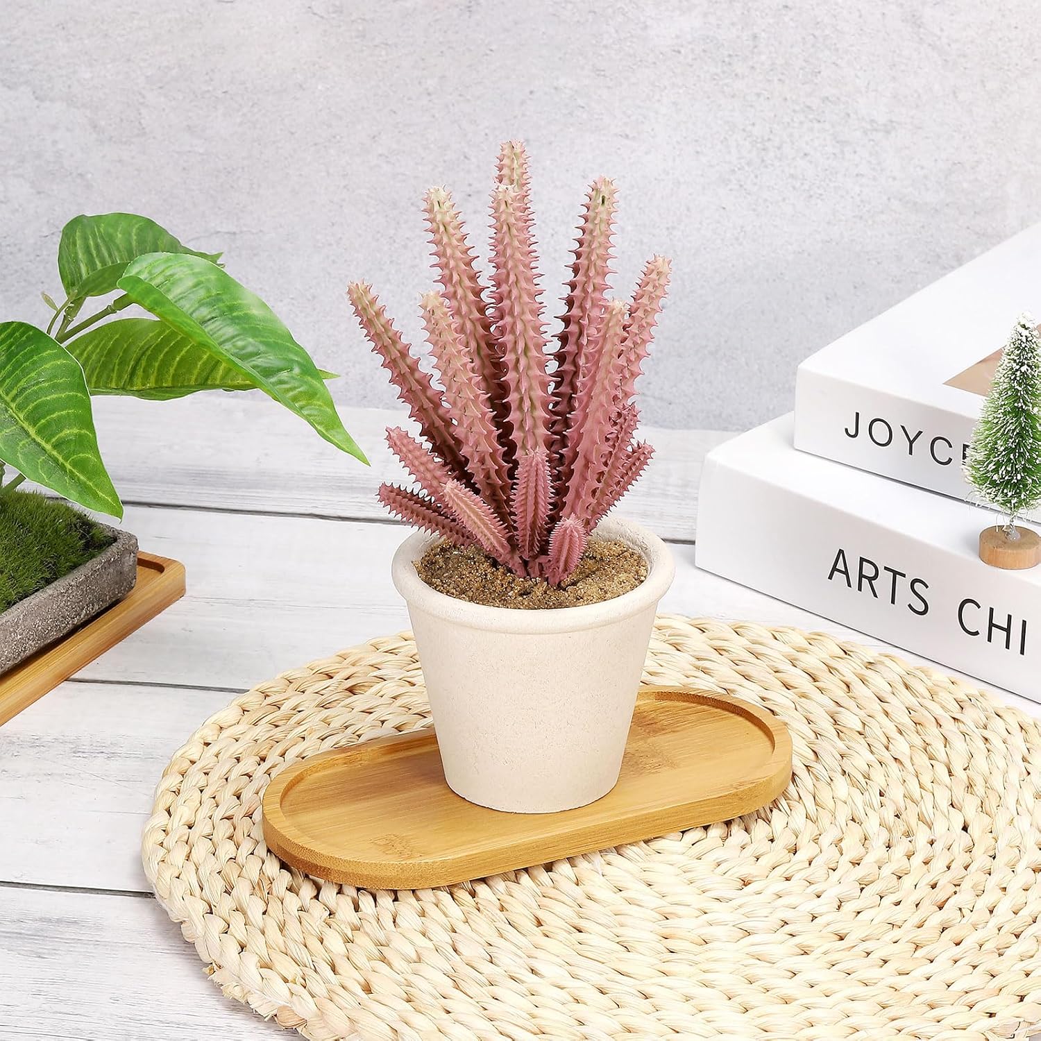 4pcs Bamboo Plant Saucer Oval  - Drip Tray Saucer ulasan dan harga